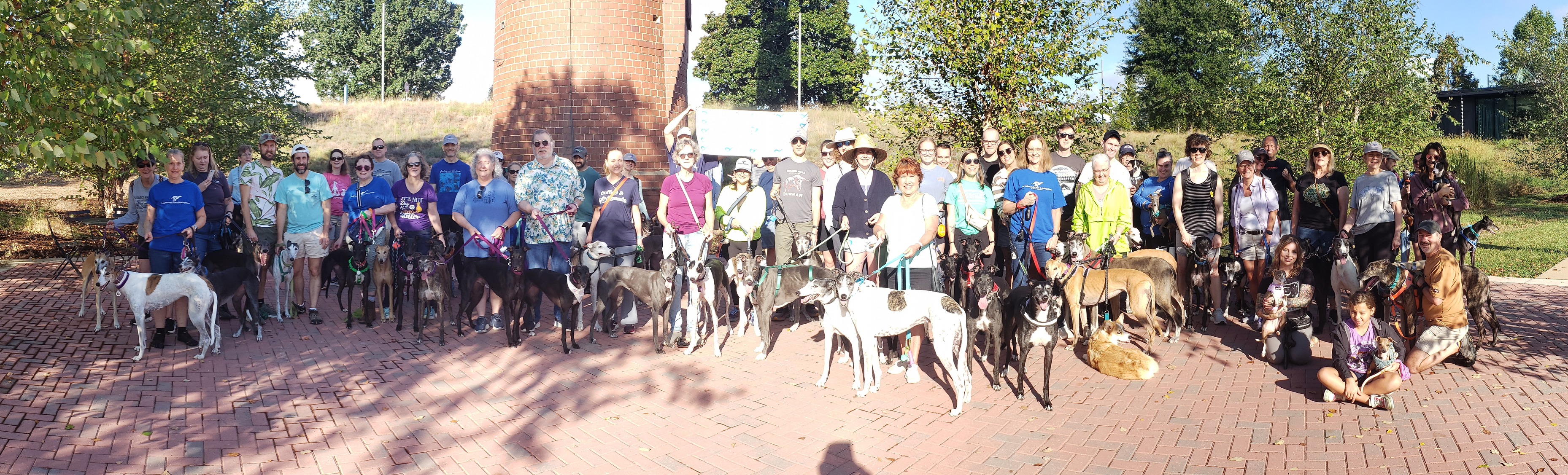 Great Global Greyhound Walk - Clemmons