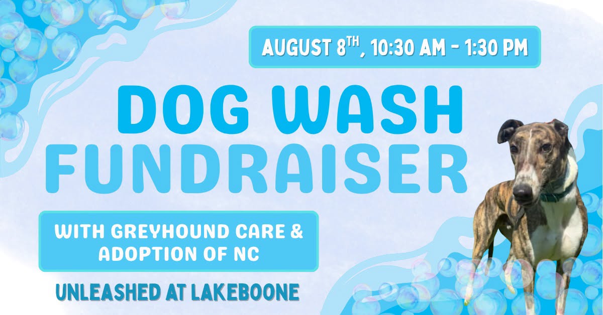 Dog Wash at Unleashed at Lake Boone Trail